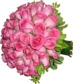 rosas
